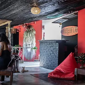 House Of Lion Gasthuis Pantai Cenang (Langkawi)